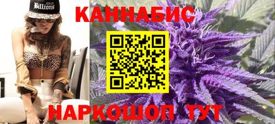 спиды Заводоуковск