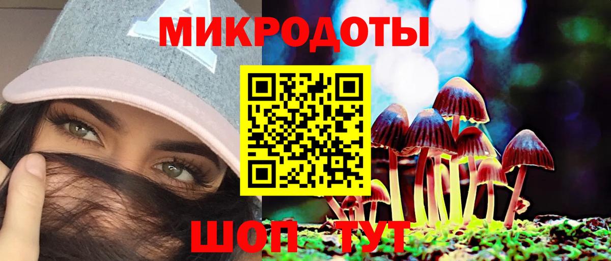 наркота  Псилоцибиновые грибы прущие грибы  Вход с VPN  Минеральные Воды  Псилоцибиновые грибы Psilocybe 